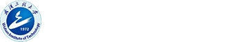 Wuhan Institute of Technology